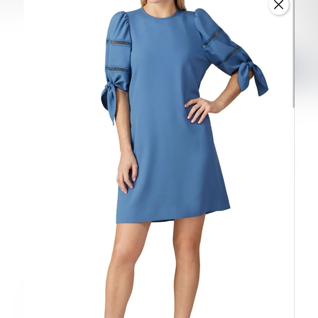 E1. See By Cloe/Riverside Blue Shift Dress $465 Msrp